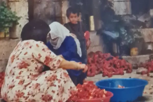 Şanlı 3 Pide Ve Lahmacun Fırını - Resim 3