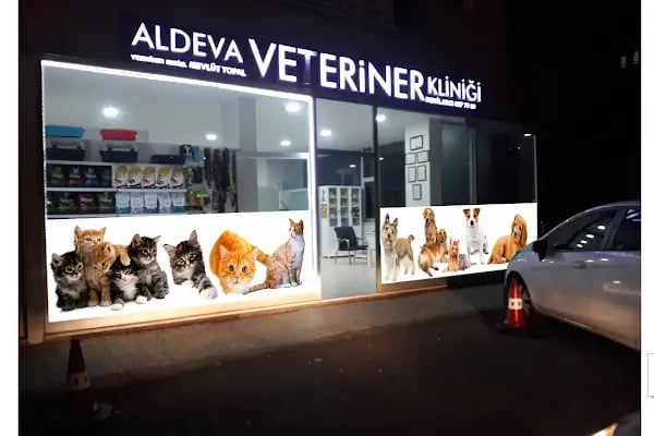 Aldeva Veteriner Kliniği - Resim 4
