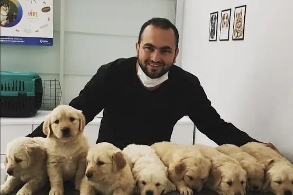 Aldeva Veteriner Kliniği - Resim 1