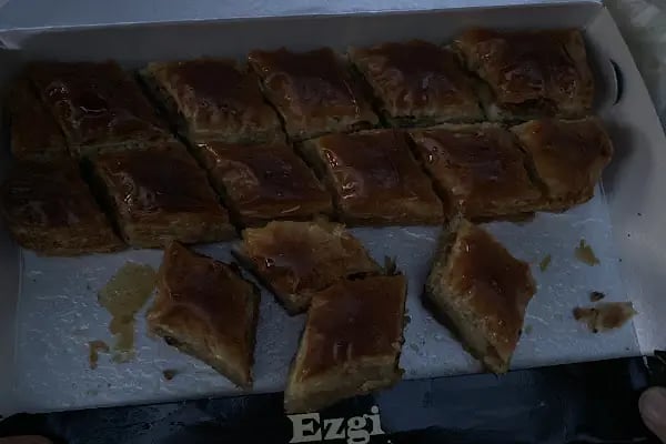 Ezgi Pastanesi - Resim 11