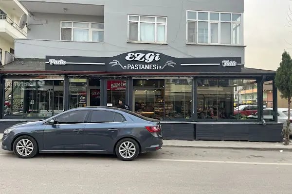 Ezgi Pastanesi - Resim 6