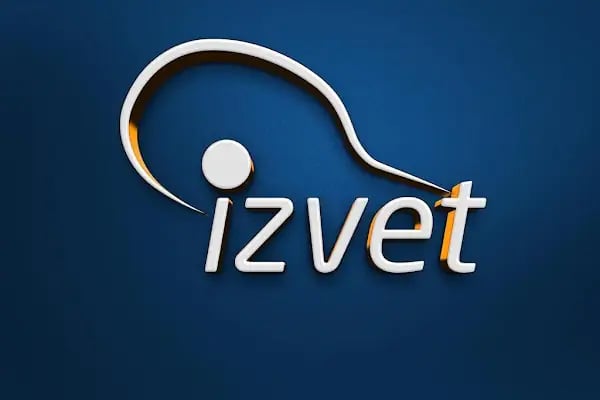 İZVET İzmir Veteran Masa Teniscileri Spor Kulübü - Resim 12
