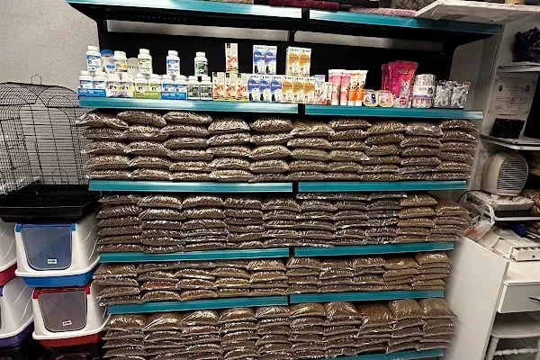 Sakarya Sihirli Petshop - Resim 5