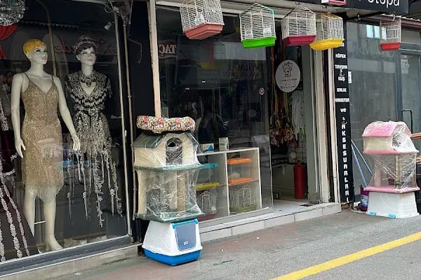 Sakarya Sihirli Petshop - Resim 16