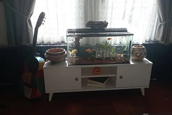 Sakarya Sihirli Petshop - Resim 6