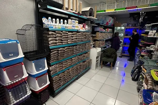 Sakarya Sihirli Petshop - Resim 8