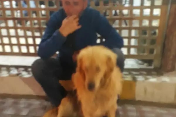 Doğa Kıraathanesi - Resim 4