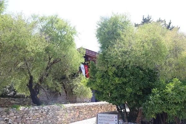 Akşebe Sultan hz Türbesi - Resim 14