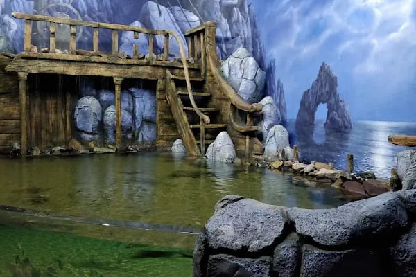 ViaSea Aquarium - Resim 20