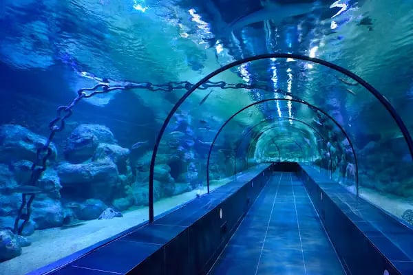 ViaSea Aquarium - Resim 2