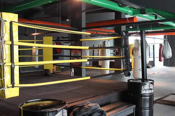 Ankara Kick Boks - Resim 3