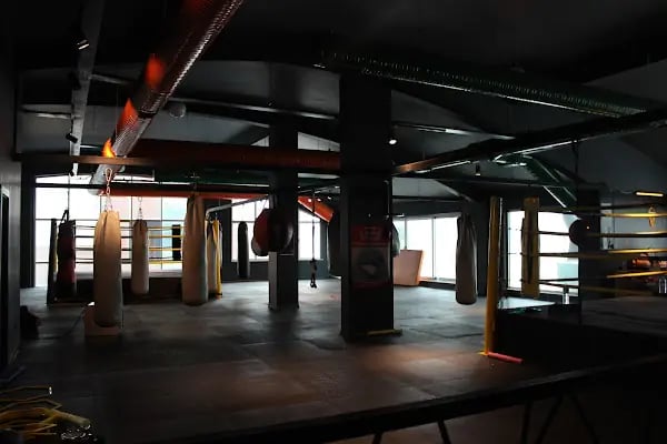 Ankara Kick Boks - Resim 7