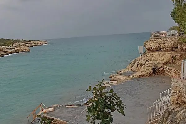 Gaziantep vip araç kiralama - Resim 7