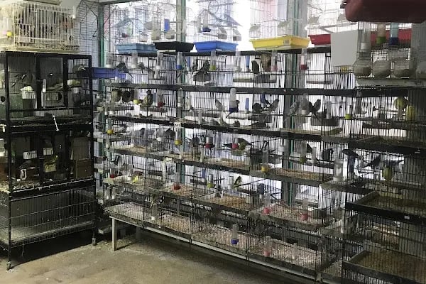 Yunus petshop - Resim 3