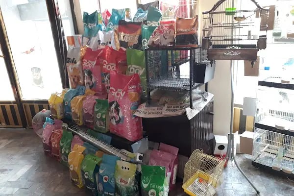 Yunus petshop - Resim 8