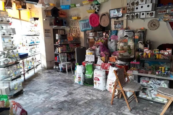 Yunus petshop - Resim 11