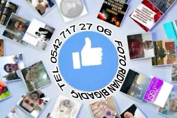 FOTO RIDVAN - Resim 7