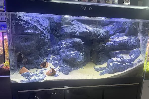 Ayzek Pet Shop - Resim 20