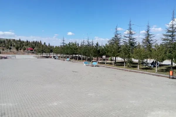Afşin Sağlık Yüksekokulu - Resim 4