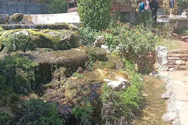 Karaisalı Piknik Alanı - Resim 3