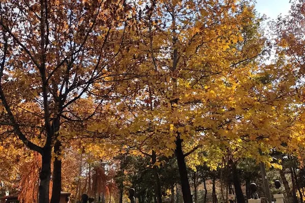 ANKARA BÜYÜKŞEHİR BELEDİYESİ ALTINPARK 100. YIL YÜZME HAVUZU VE SPOR KOMPLEKSİ - Resim 19