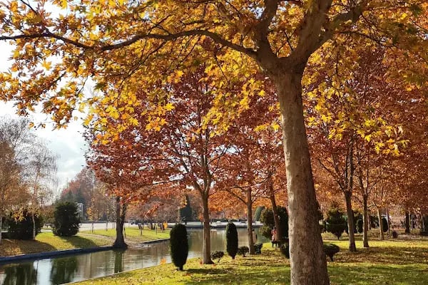 ANKARA BÜYÜKŞEHİR BELEDİYESİ ALTINPARK 100. YIL YÜZME HAVUZU VE SPOR KOMPLEKSİ - Resim 9