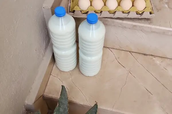 Barış Öztürk Çiftliği - Resim 19