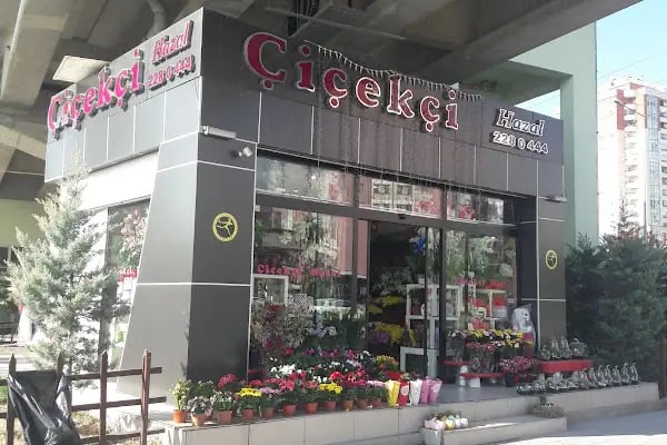 Eryaman Çiçekçi.. Hazal Çiçek 2 - Resim 16