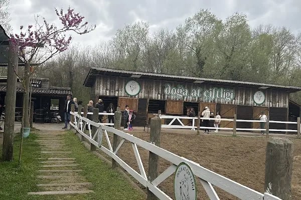 Doğa At Çiftliği Karasu - Resim 2