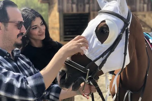 Doğa At Çiftliği Karasu - Resim 14