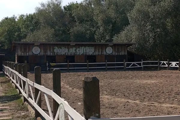 Doğa At Çiftliği Karasu - Resim 15