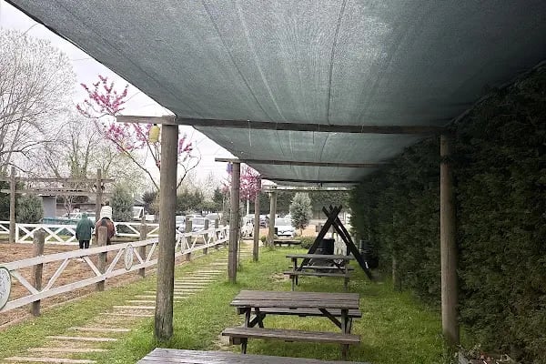 Doğa At Çiftliği Karasu - Resim 10