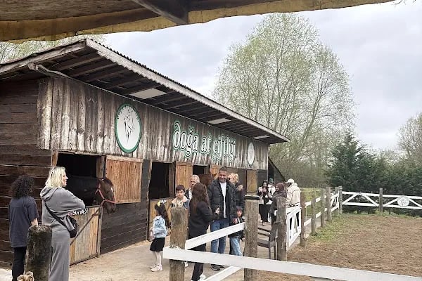 Doğa At Çiftliği Karasu - Resim 8