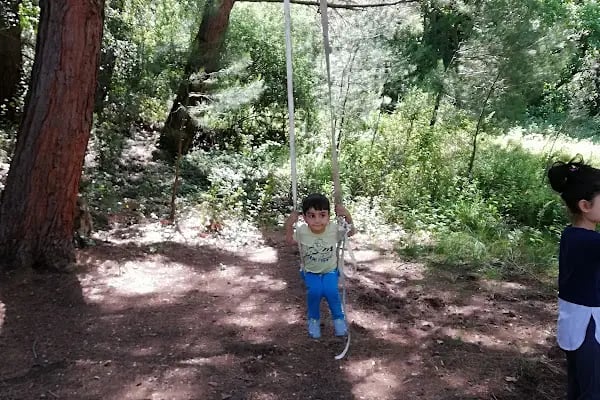 Nif Kulübe Kamp Alanı - Resim 5