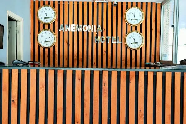 Hotel Anemonıa - Resim 4