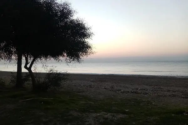 Hotel Anemonıa - Resim 10