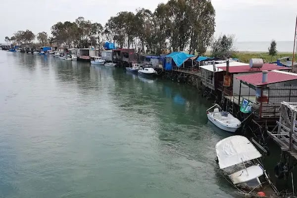 Hotel Anemonıa - Resim 7