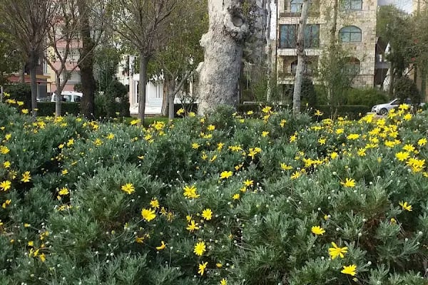 Hotel Anemonıa - Resim 18