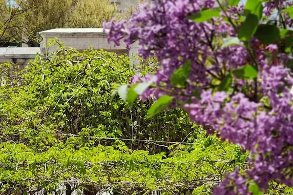 hich hotel Konya - Resim 14