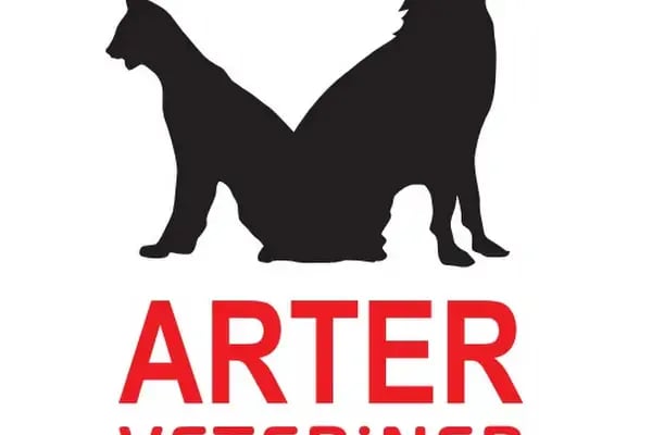 Arter Veteriner Muayenehanesi - Resim 2