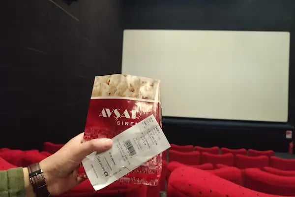 Avşar Sinema / Konya Ereğli Park Site - Resim 4