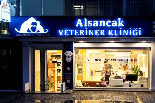 Alsancak Veteriner Kliniği - Resim 4