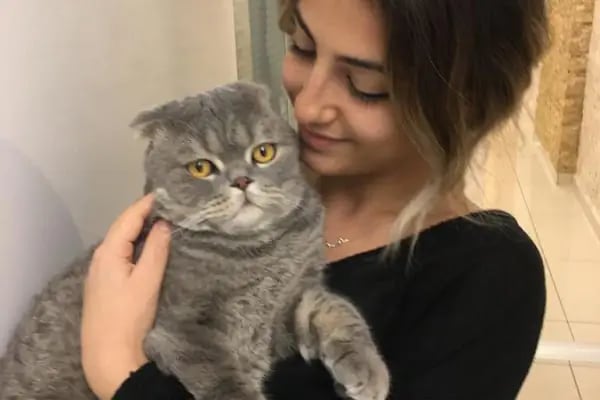 Alsancak Veteriner Kliniği - Resim 16