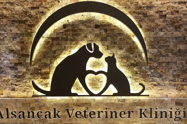 Alsancak Veteriner Kliniği - Resim 9