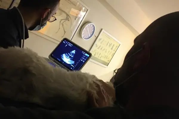 Alsancak Veteriner Kliniği - Resim 17