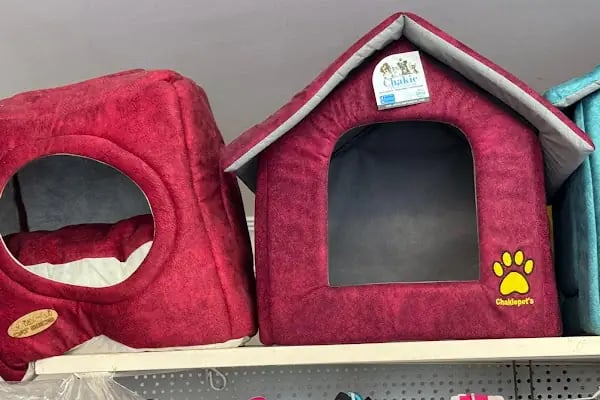 Larin Petshop - Resim 19