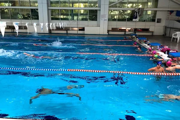 Bursa Gençlik Ve Spor İl Müdürlüğü Olimpik Kapalı Yüzme Havuzu - Resim 2