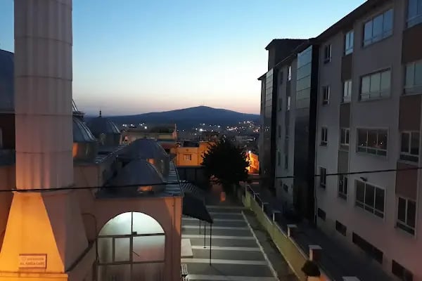 Hazreti Hamza camii - Resim 6