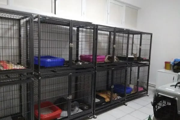 Pety Paw Veteriner Kliniği Yenimahalle - Resim 17