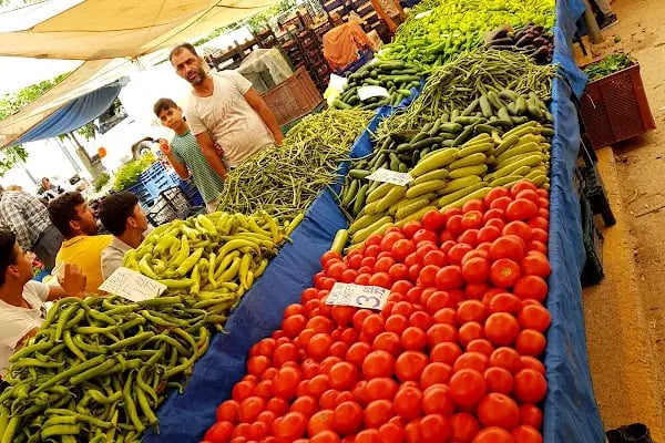 Turgutreis Akçaalan Halk Pazarı - Resim 9